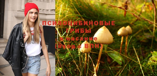 амф Верхний Тагил