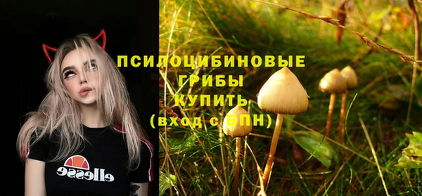 эйфоретик Волоколамск