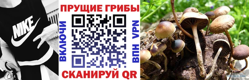 Галлюциногенные грибы мухоморы  Данилов 